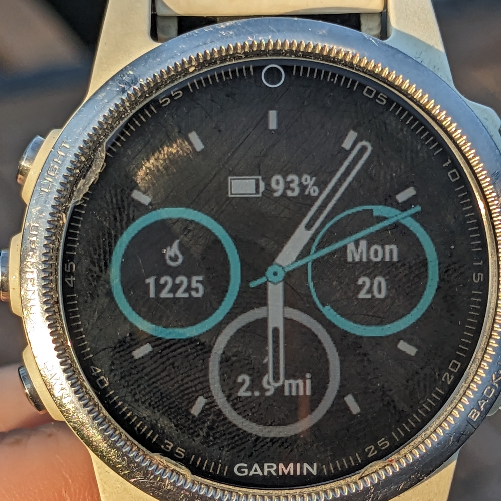 Garmin Fenix 5s White Smartwatch